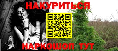сатива Краснодар