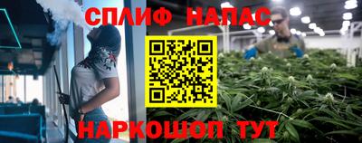 сатива Краснодар